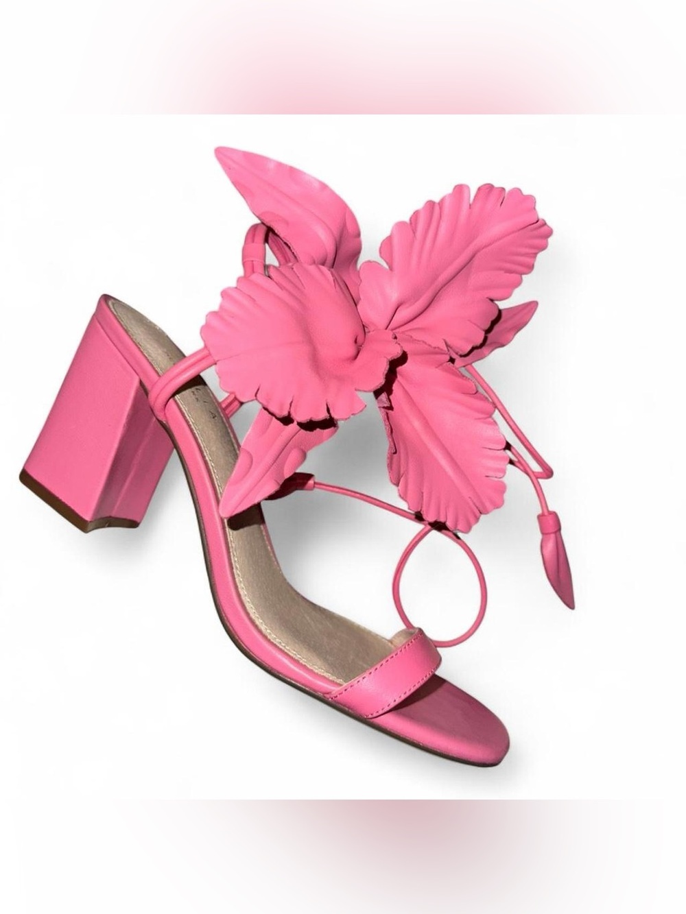 CECELIA NEW YORK Hibiscus Sandal in Pink
